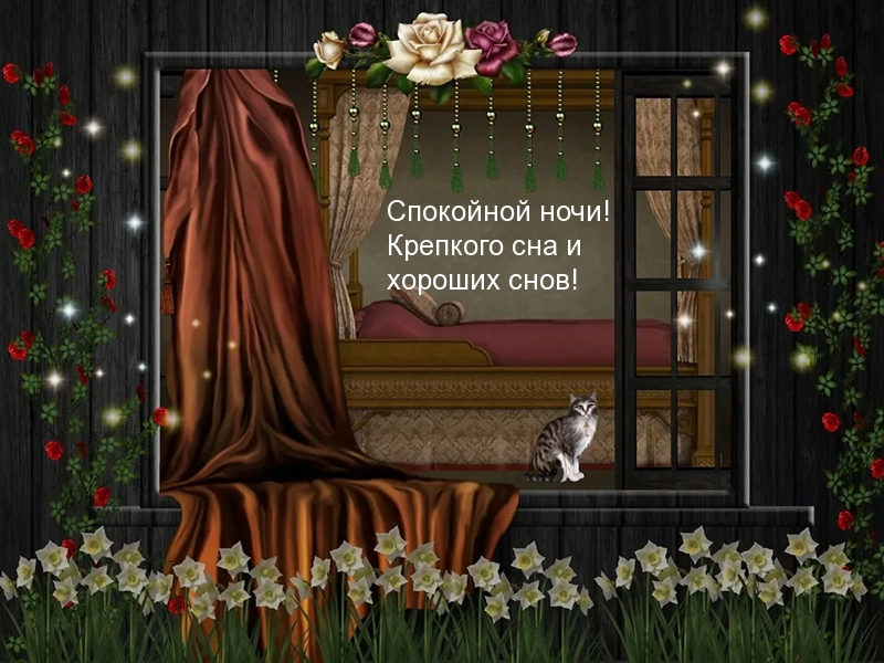 Спокойной ночи! Крепкого сна и хороших снов!
