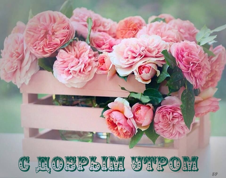 С добрым утром