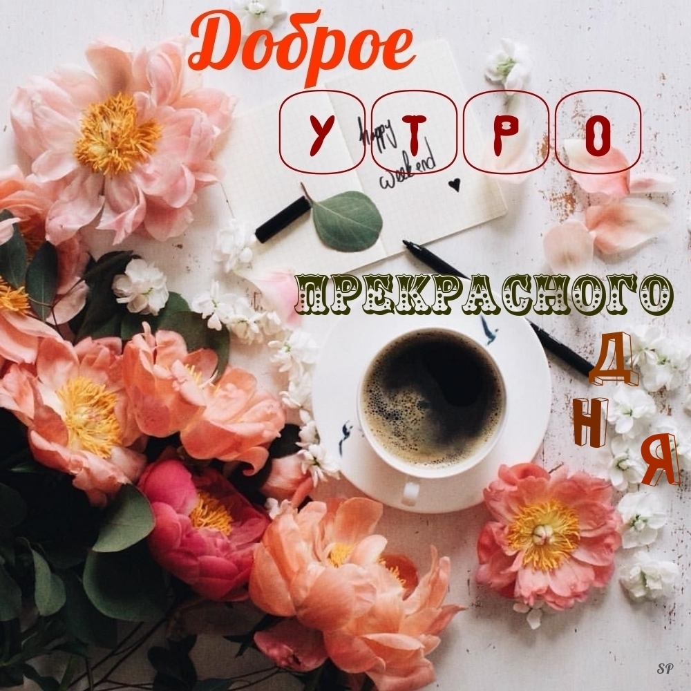 Доброе утро Прекрасного дня