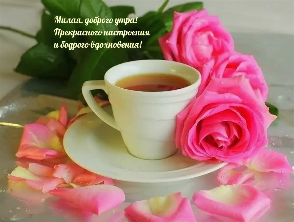 Милая, доброго утра!