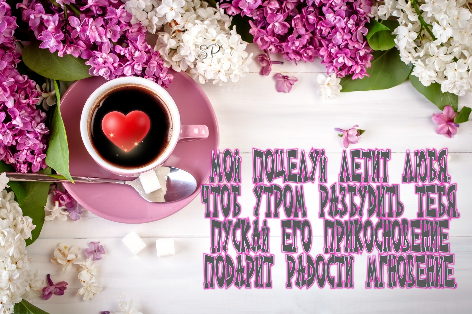 Мой поцелуй летит любя, чтоб утром разбудить тебя.