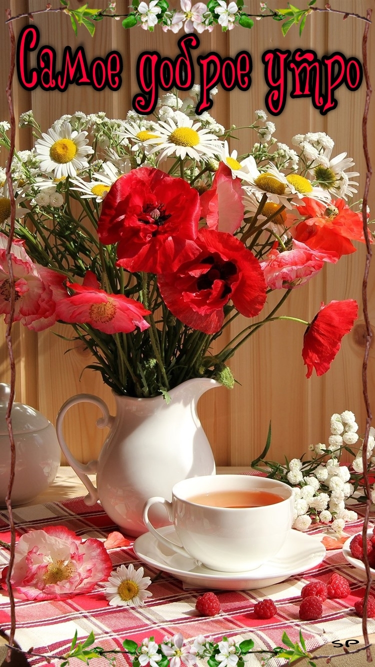 Самое доброе утро