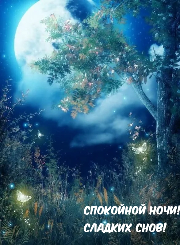 Спокойной ночи! Сладких снов!