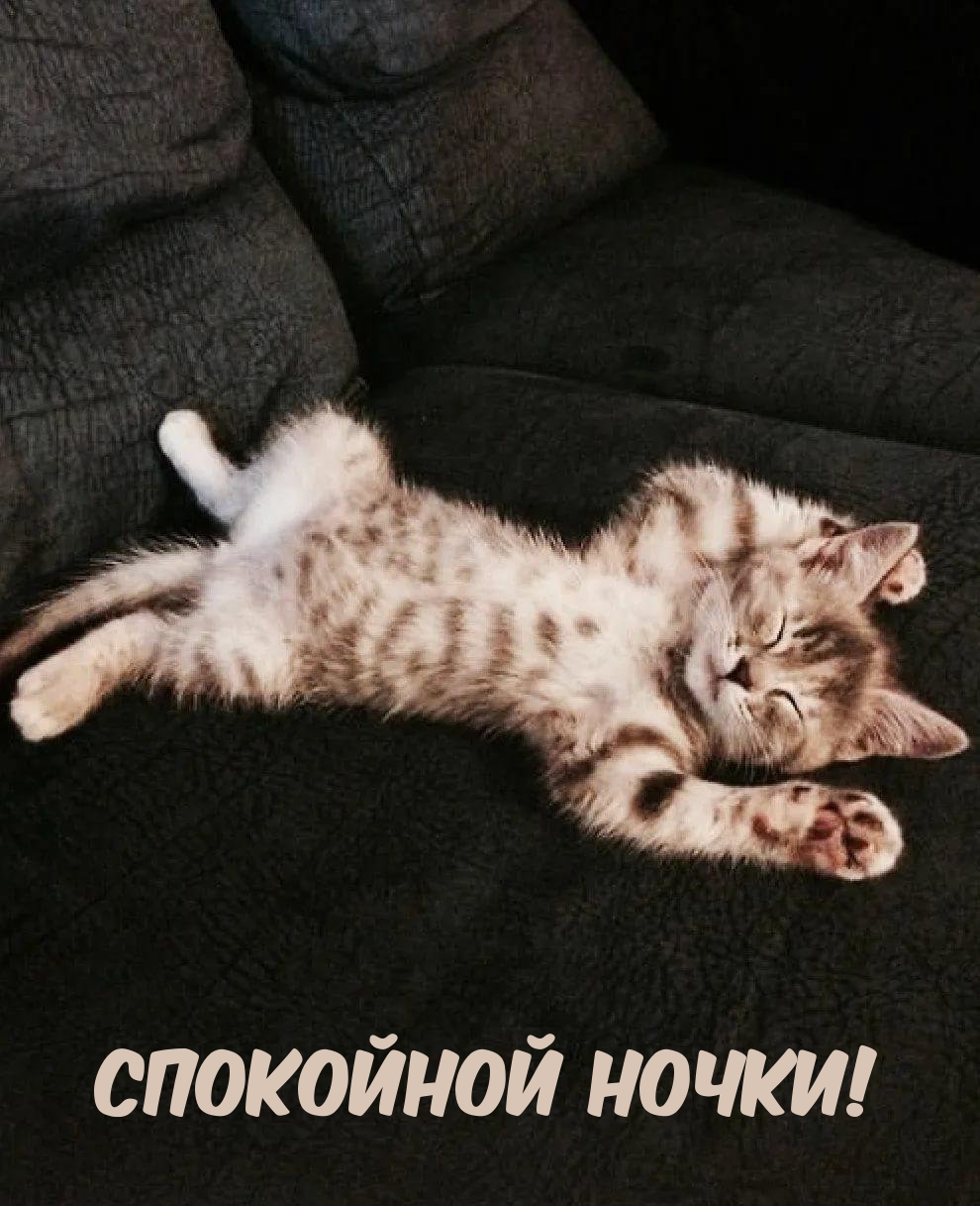 Спокойной ночки!