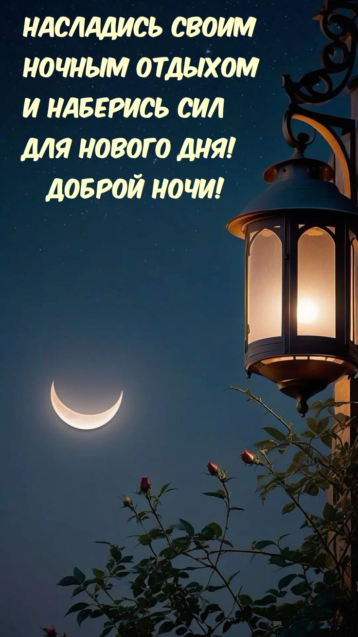 Насладись ночным отдыхом и наберись сил для нового дня!