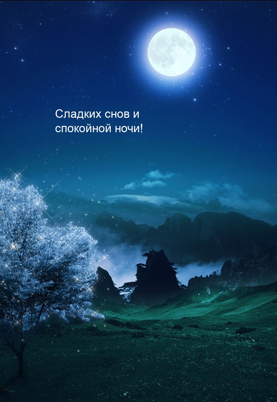 Сладких снов и спокойной ночи!