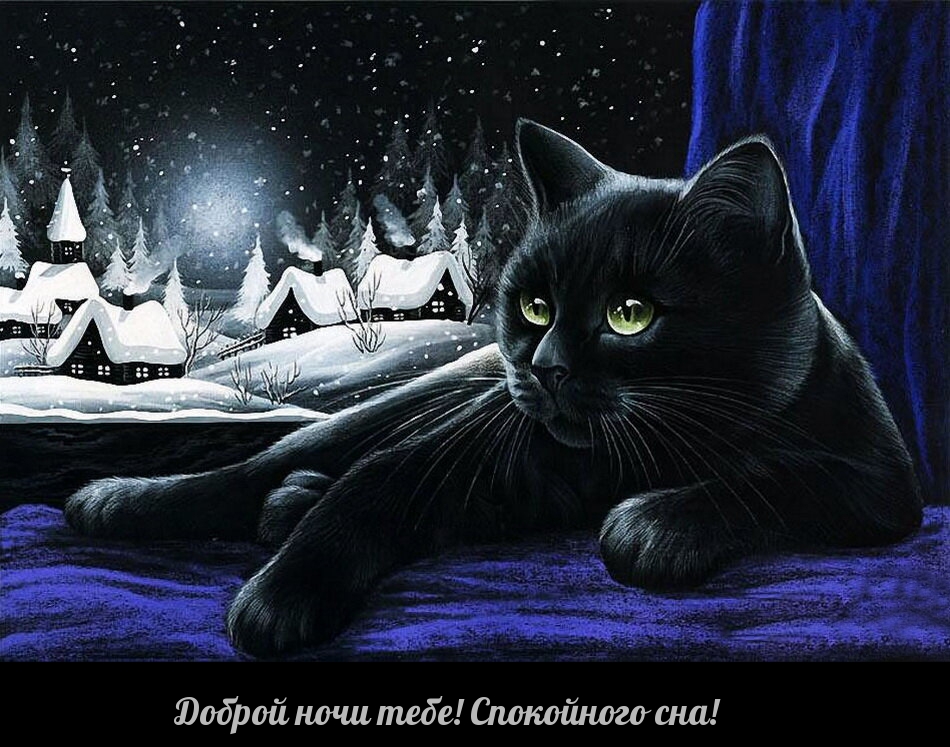 Доброй ночи тебе! Спокойного сна!