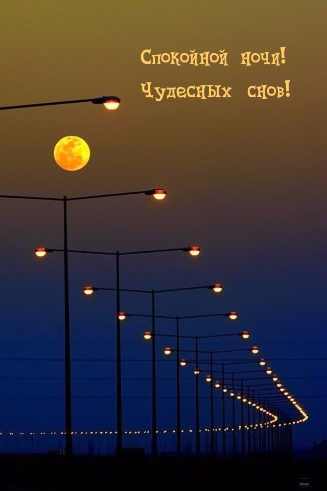Спокойной ночи! Чудесных снов!