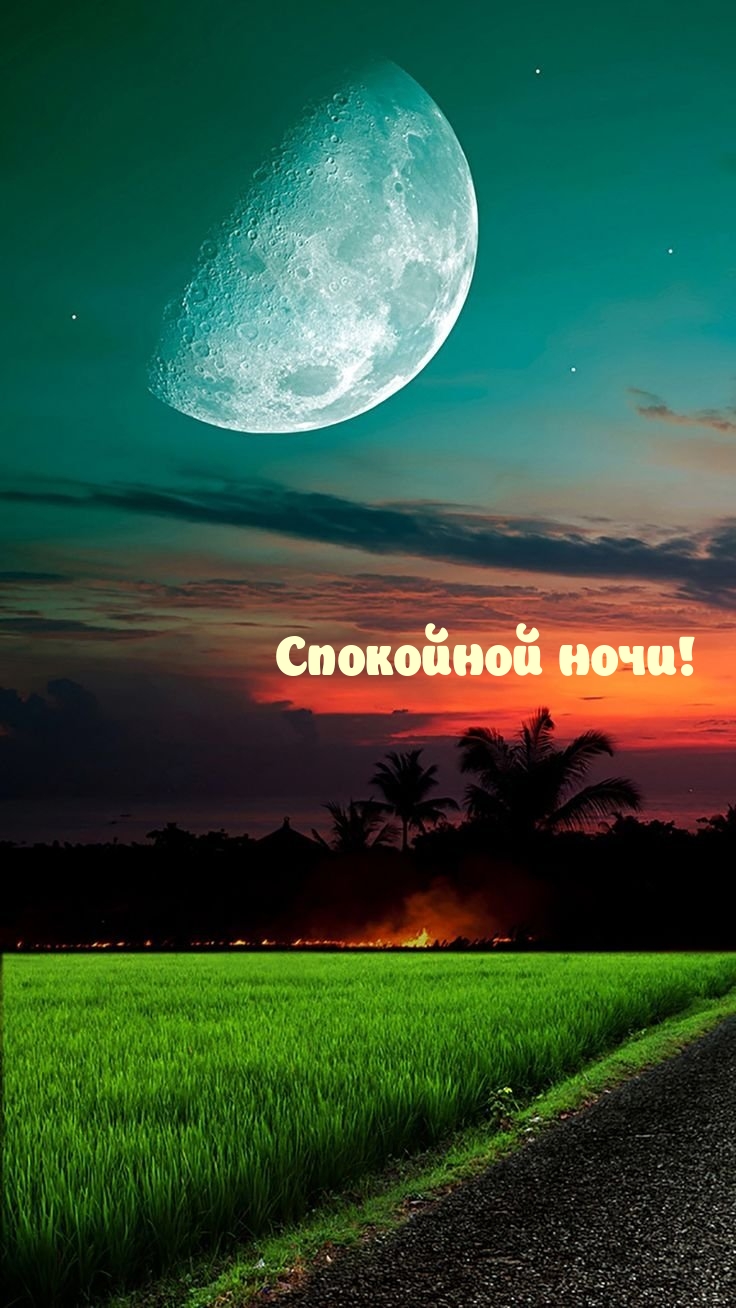 Спокойной ночи!