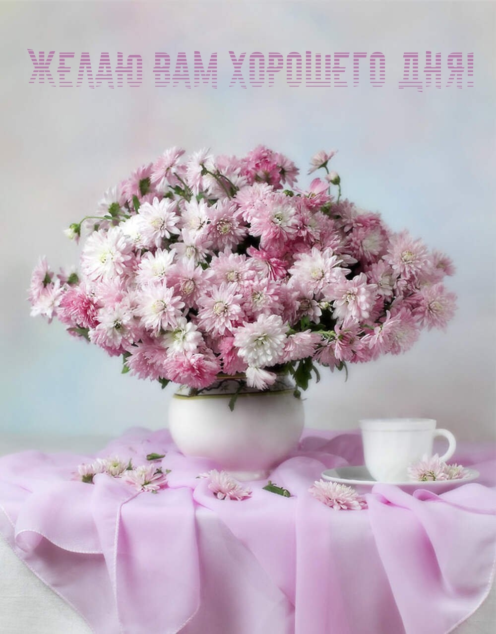 Желаю вам хорошего дня!