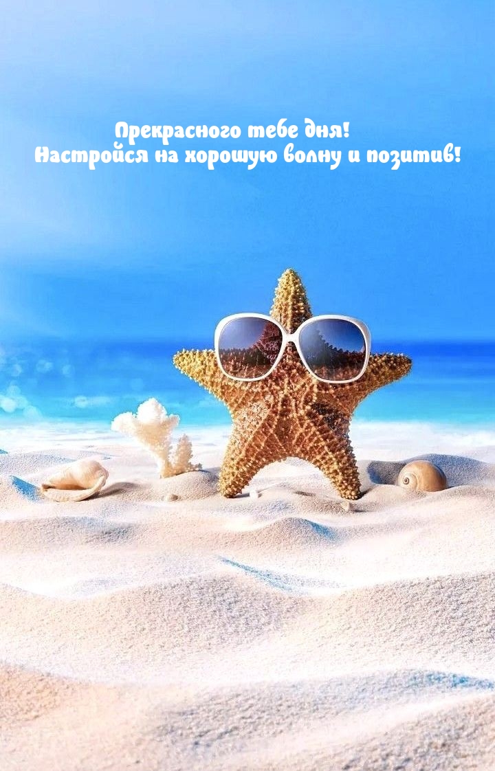 Прекрасного тебе дня! Настройся на хорошую волну и позитив!