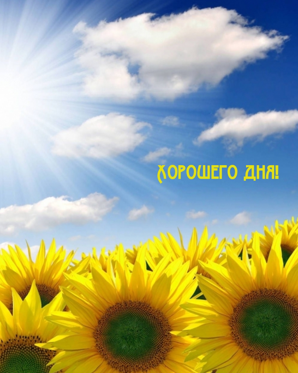 Хорошего дня!