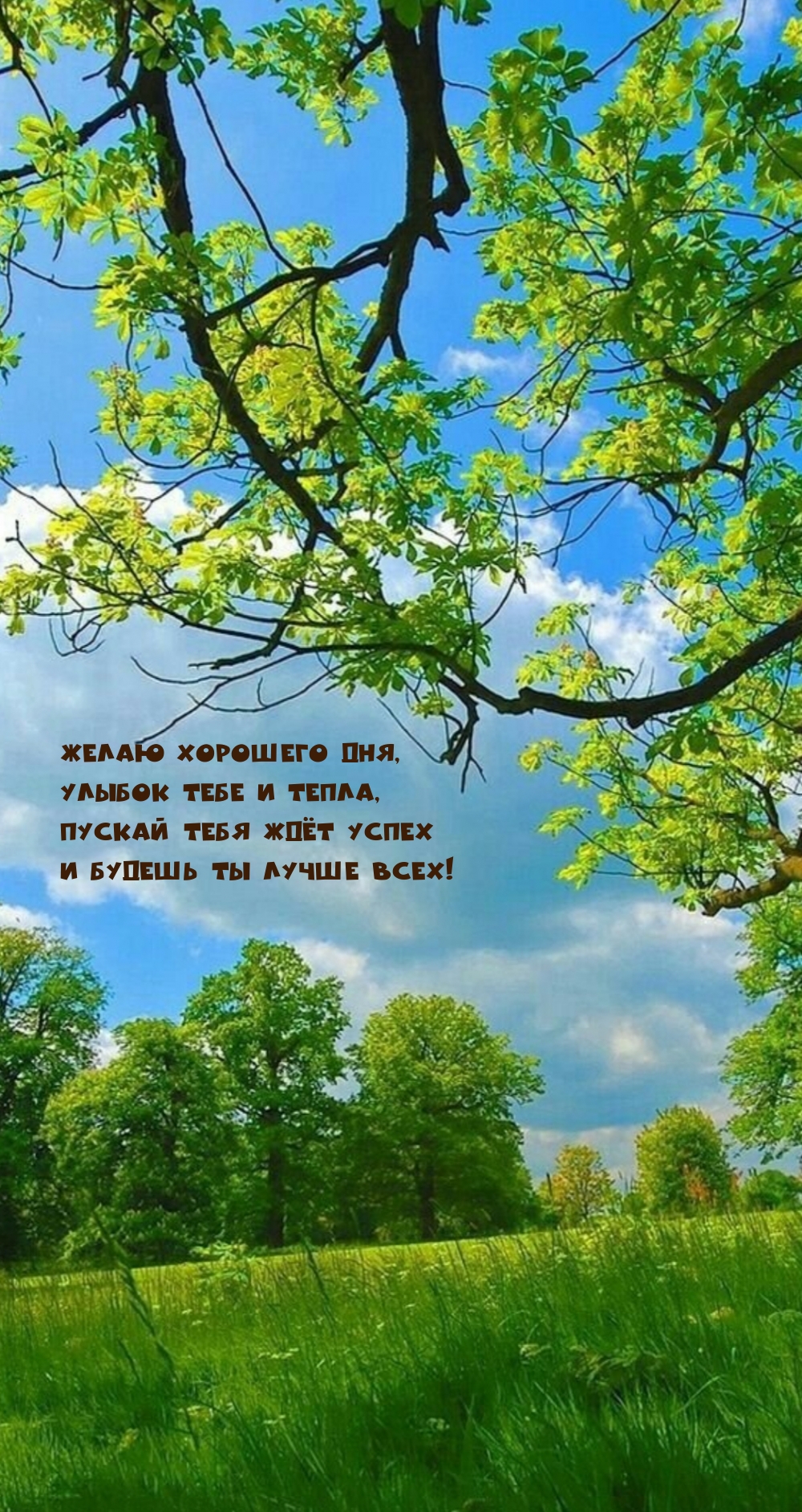 Желаю хорошего дня, улыбок тебе и тепла