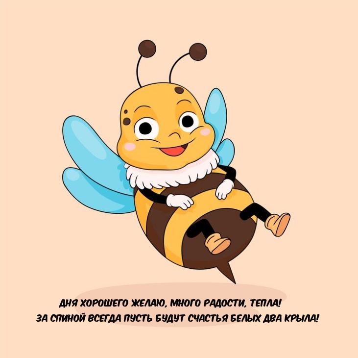 Дня хорошего желаю, много радости, тепла!