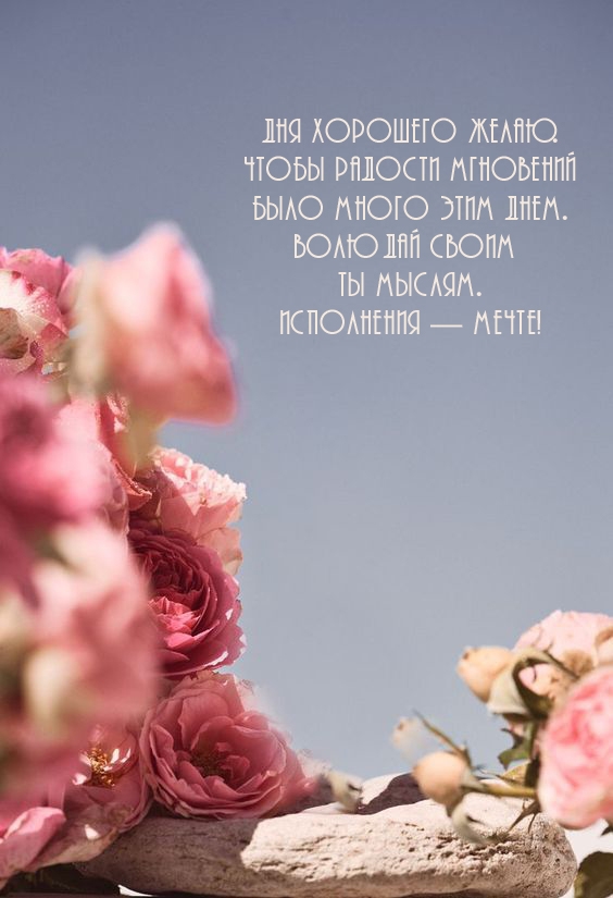 Дня хорошего желаю. Чтобы радости мгновений было много этим днем.