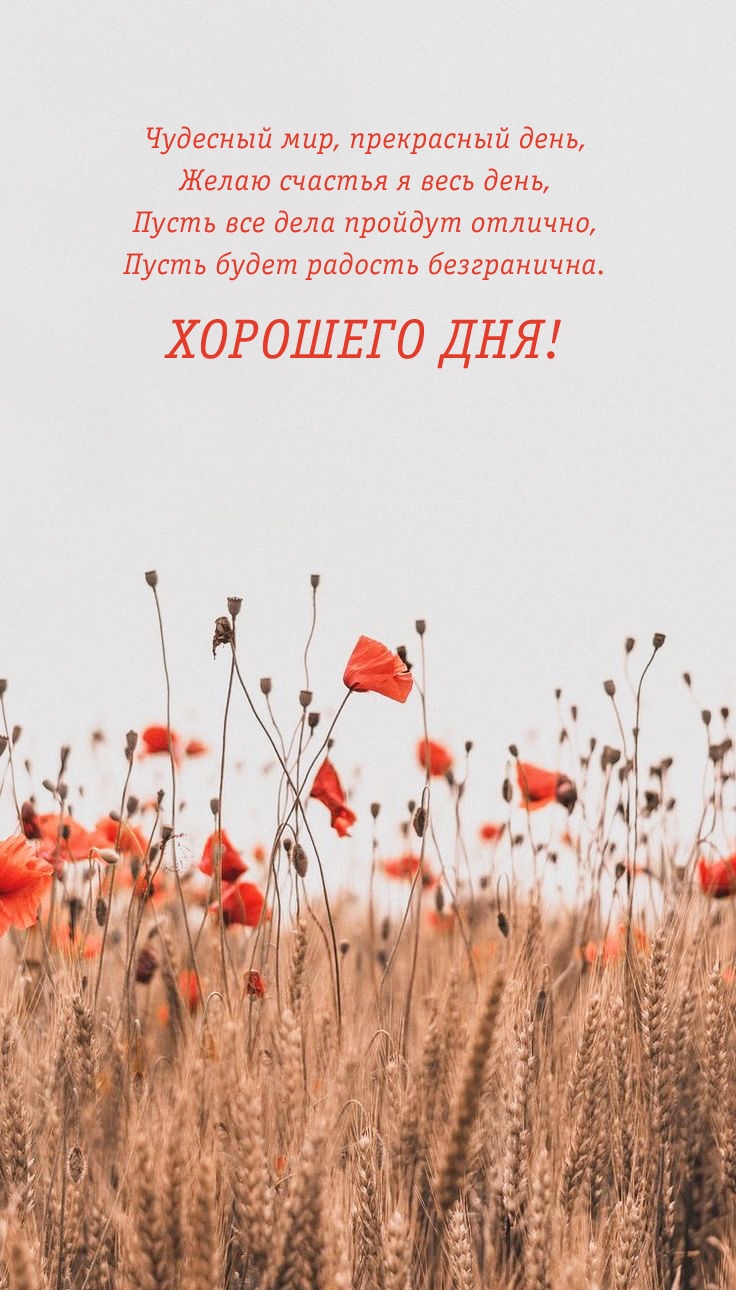Чудесный мир, прекрасный день, желаю счастья я весь день