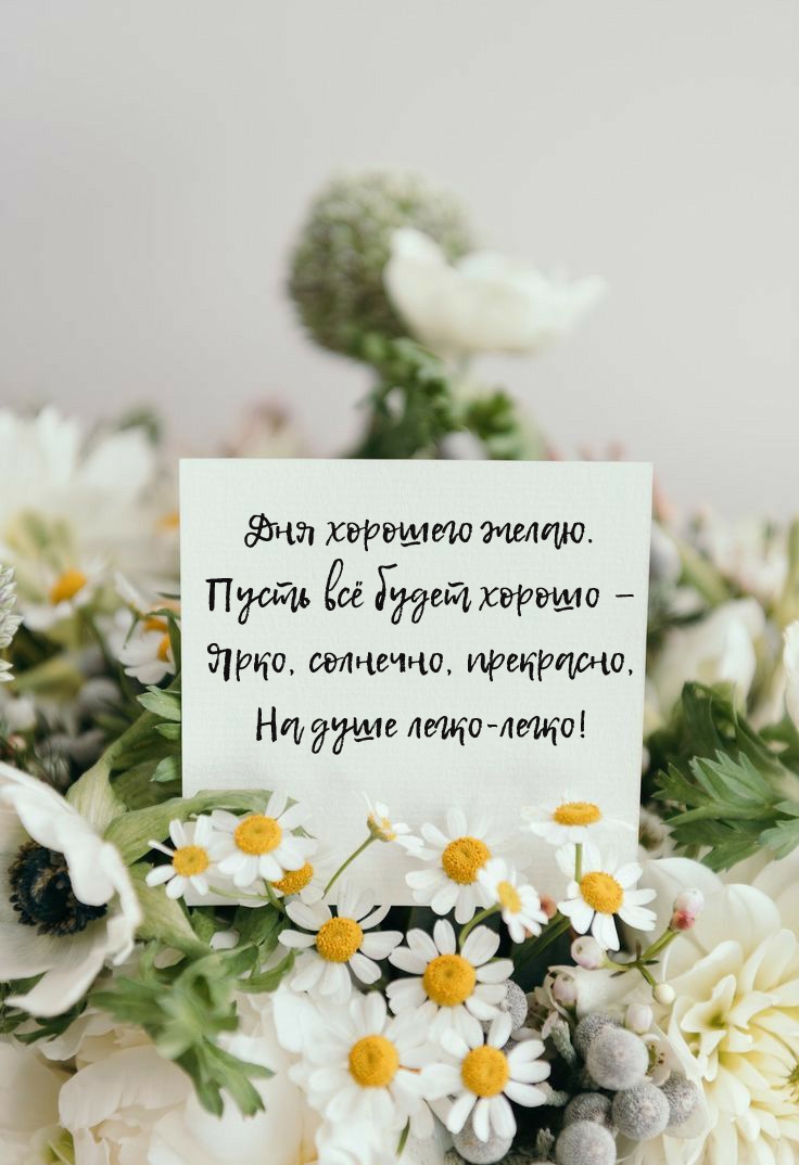 Дня хорошего желаю. Пусть всё будет хорошо — ярко, солнечно