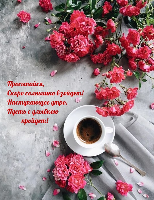 Просыпайся, скоро солнышко взойдет!