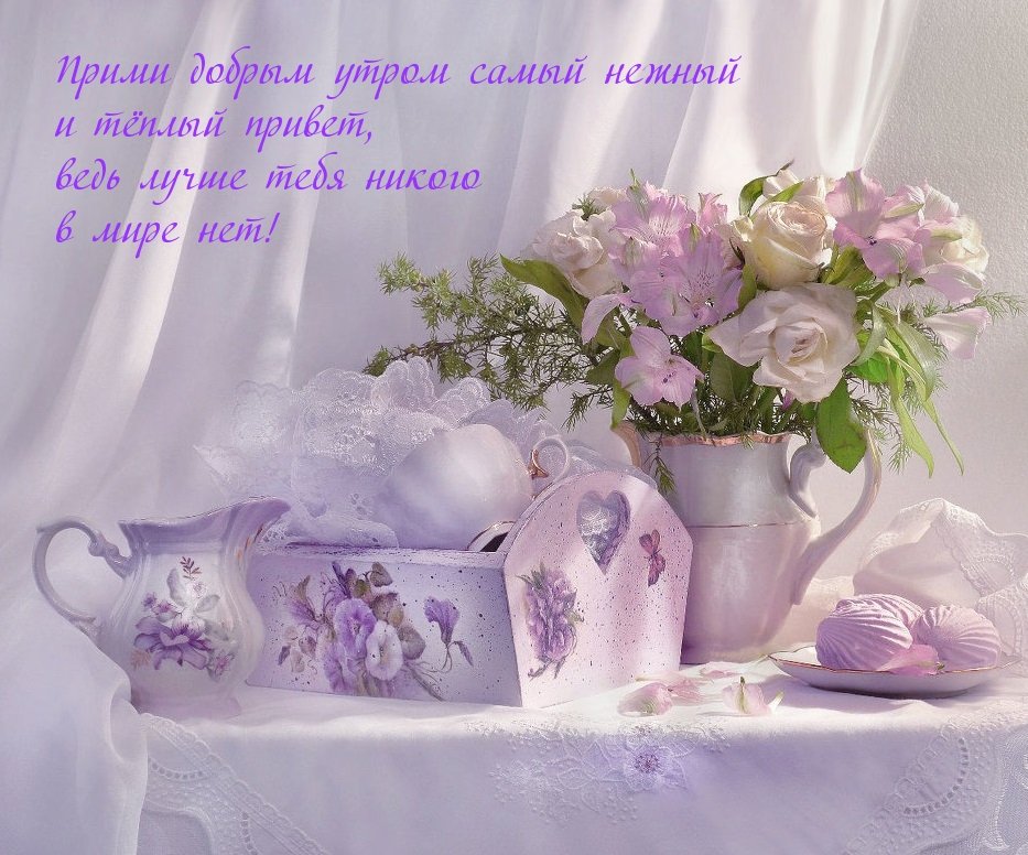 Прими добрым утром нежный  и тёплый привет