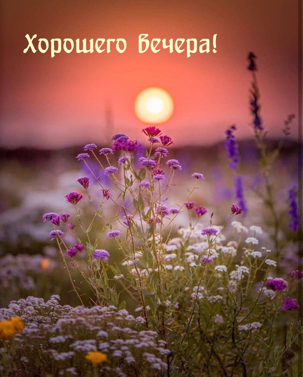 Хорошего вечера!