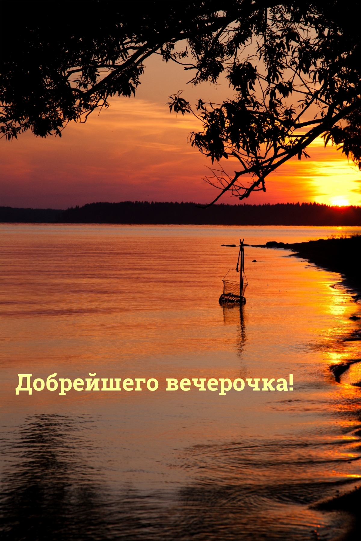 Добрейшего вечерочка!