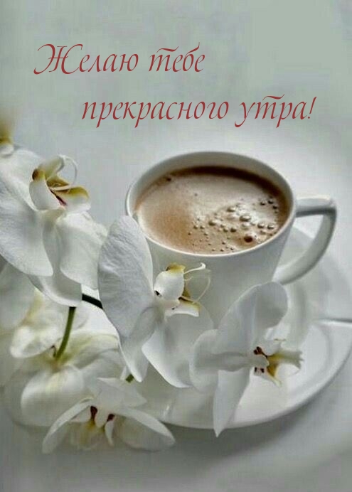 Желаю тебе прекрасного утра!