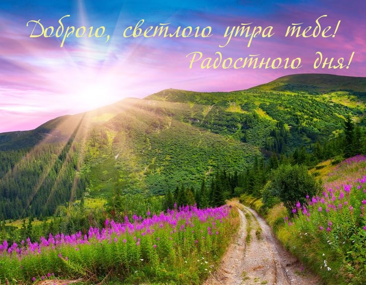 Доброго, светлого утра тебе!