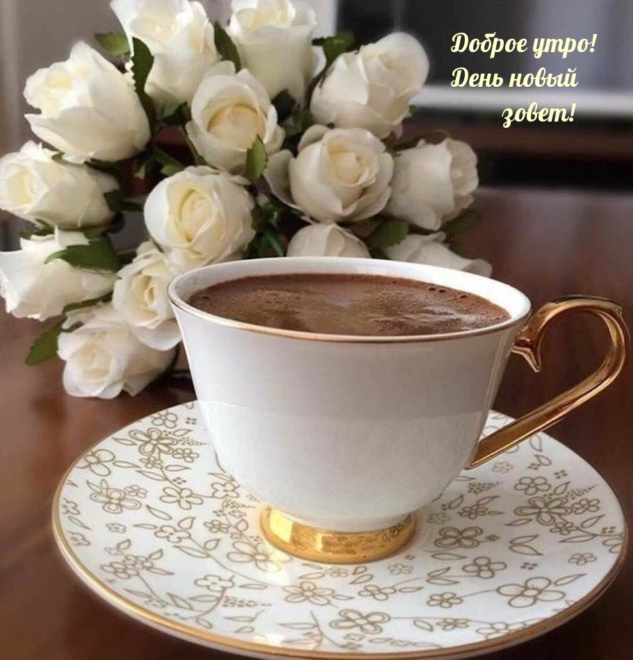 Доброе утро! День новый зовет!