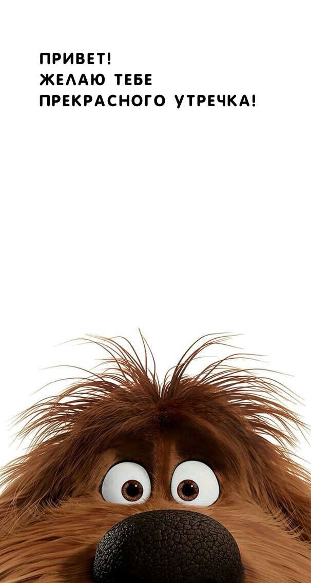 Привет! Желаю тебе прекрасного утречка!
