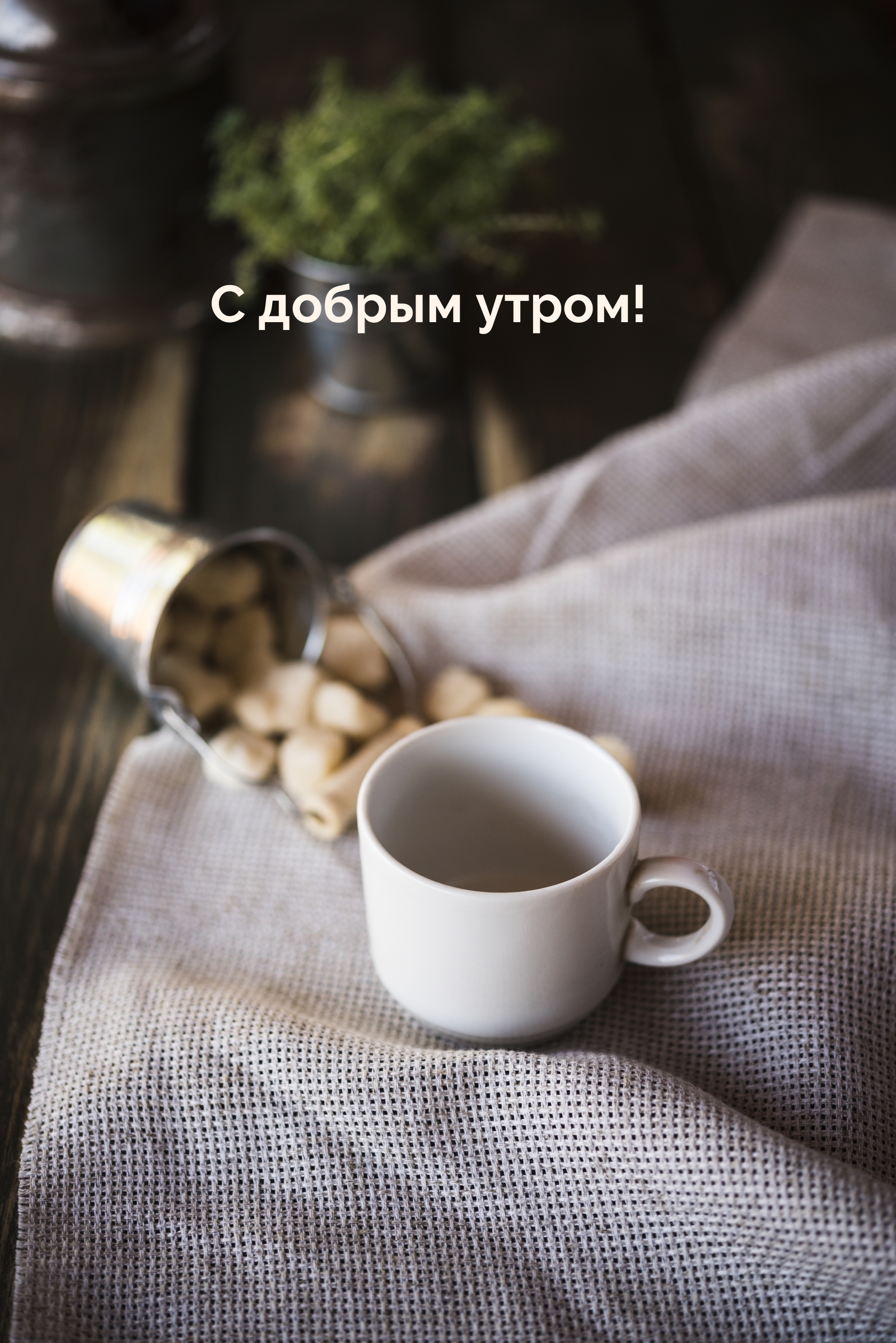 С добрым утром!