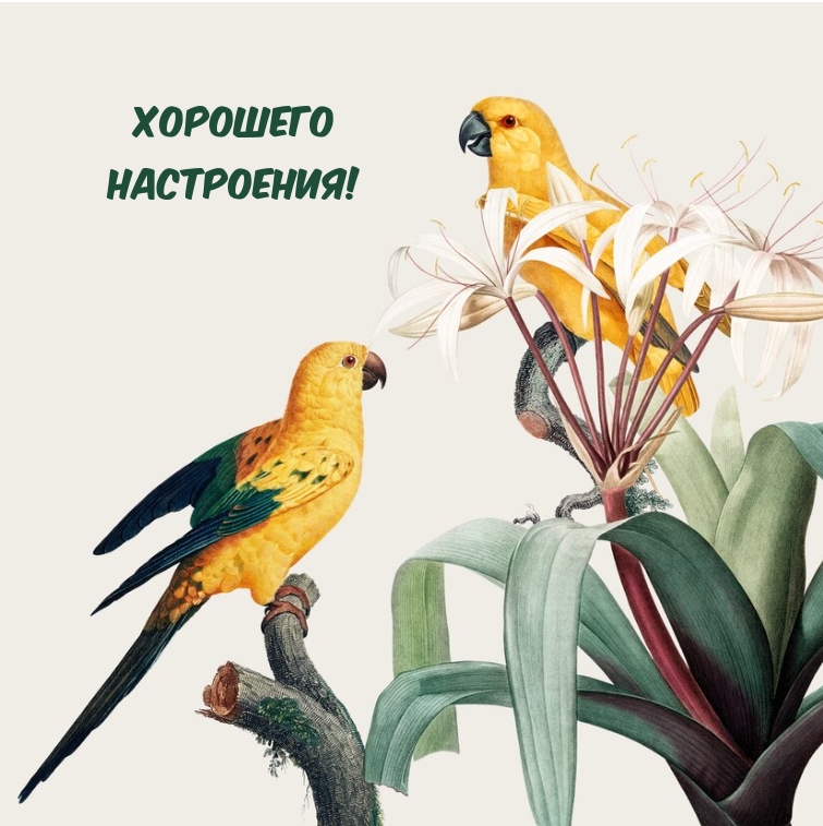 Хорошего настроения!
