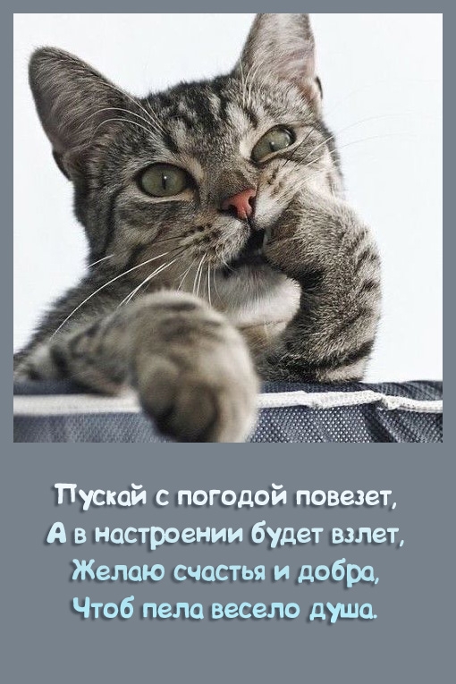 Пускай с погодой повезет, а в настроении будет взлет