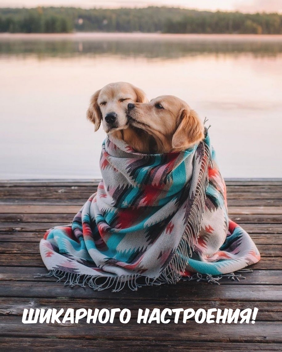 Шикарного настроения!