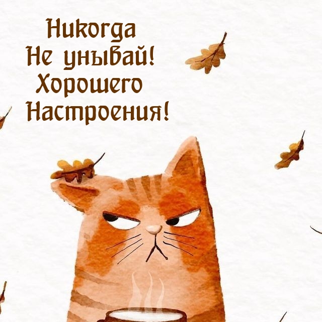Никогда Не унывай! Хорошего Настроения!