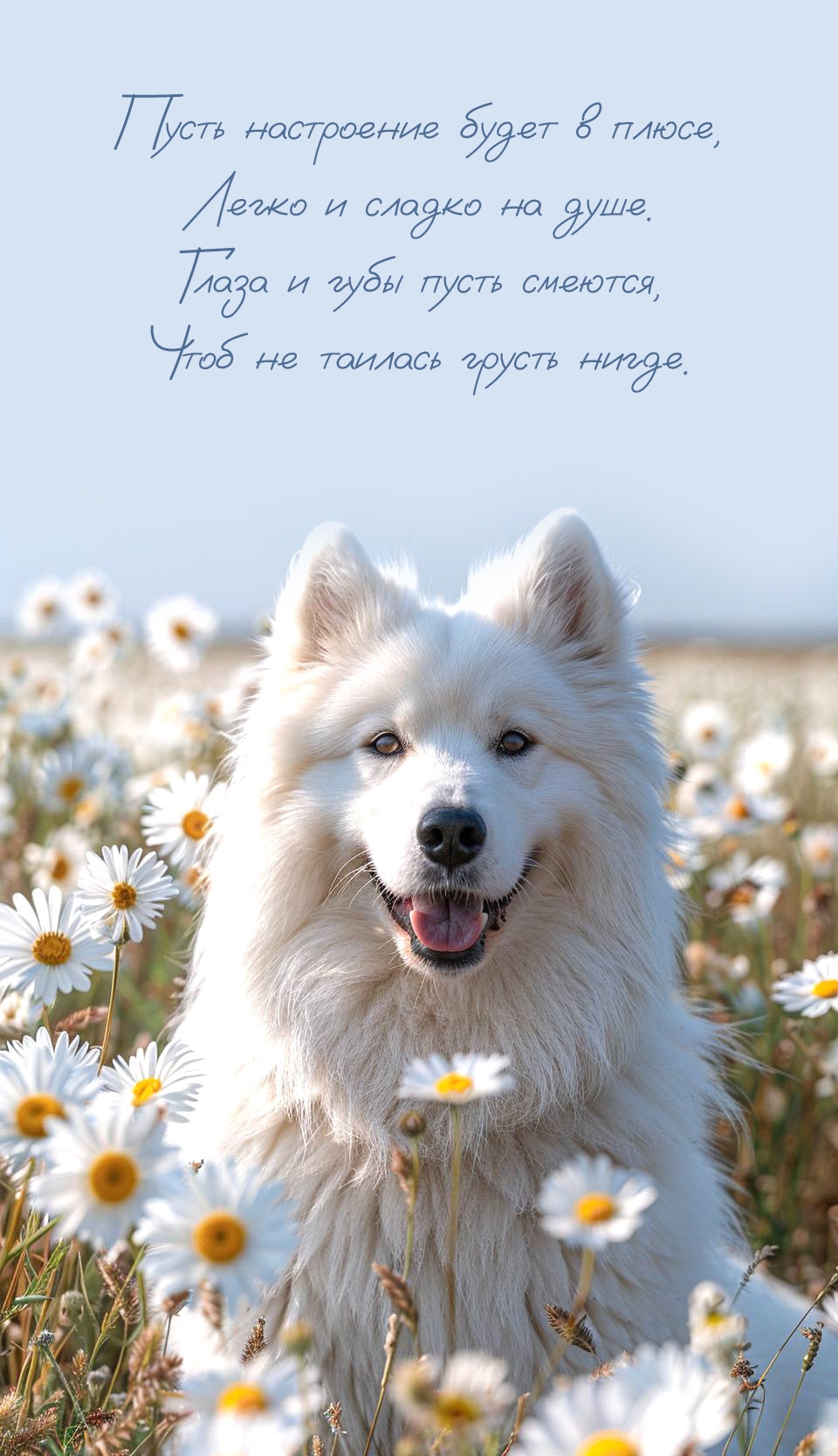 Пусть настроение будет в плюсе, легко и сладко на душе.