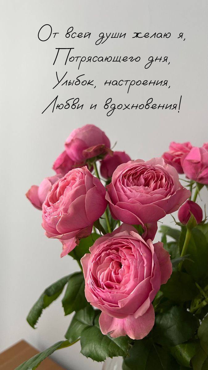 От всей души желаю я, потрясающего дня, улыбок, настроения