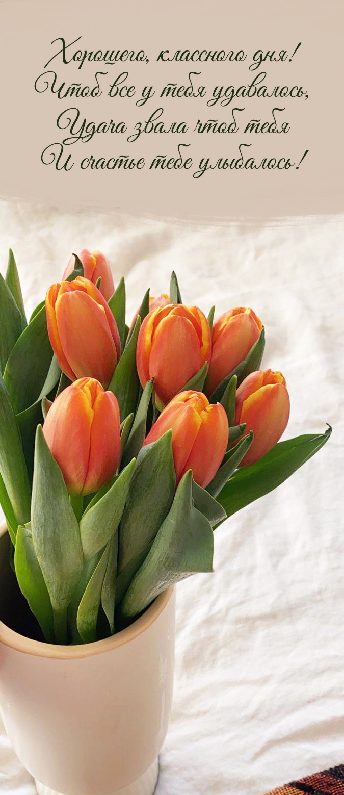 Хорошего, классного дня! Чтоб все у тебя удавалось