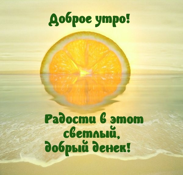 Доброе утро! Радости в этот светлый, добрый день!