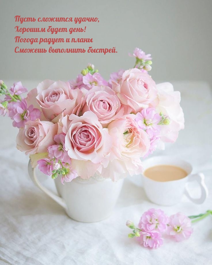 Пусть сложится удачно, хорошим будет день!