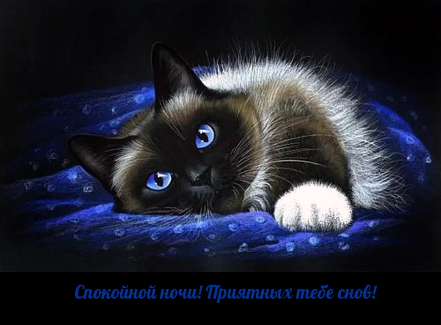 Спокойной ночи! Приятных тебе снов!