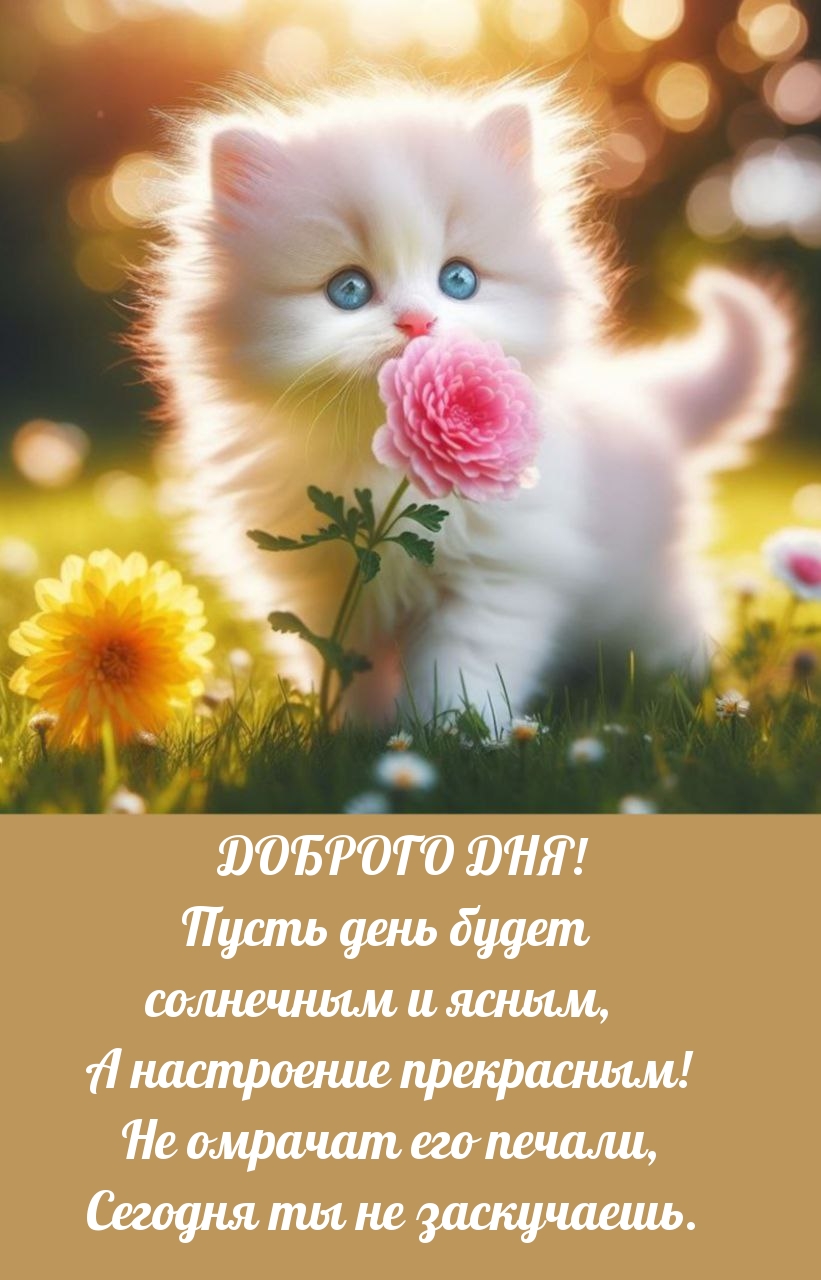 Доброго дня! Пусть день будет солнечным и ясным