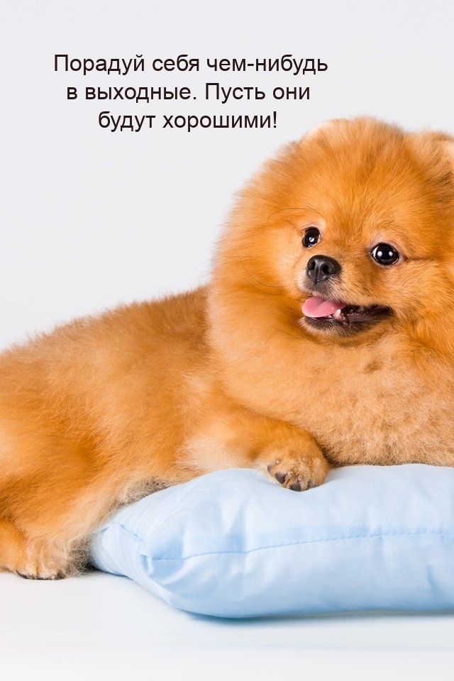 Порадуй себя чем-нибудь в выходные. Пусть они будут хорошими!