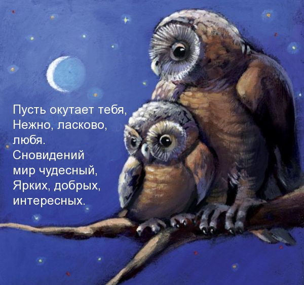 Ярких, интересных и добрых снов!)