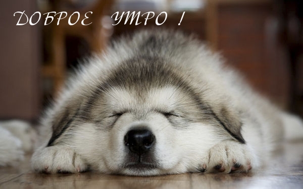 Доброе утро!