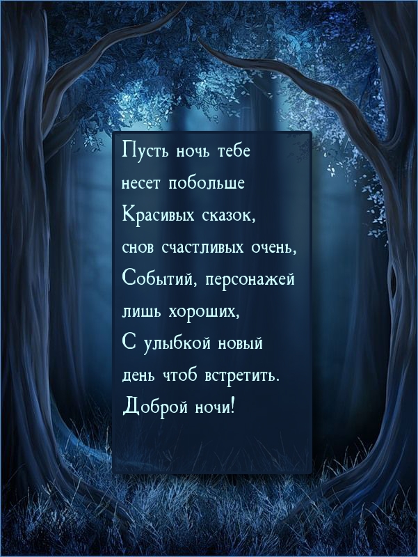 Доброй ночи!