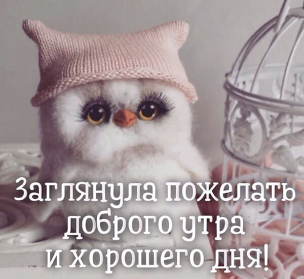 Заглянула пожелать доброго утра
