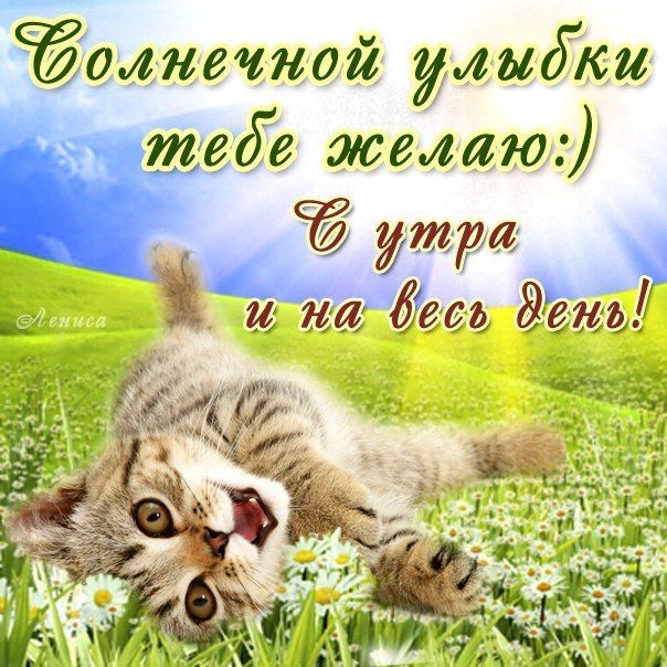 Солнечной улыбки тебе желаю!