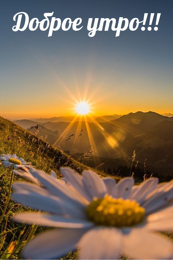 Доброе утро!