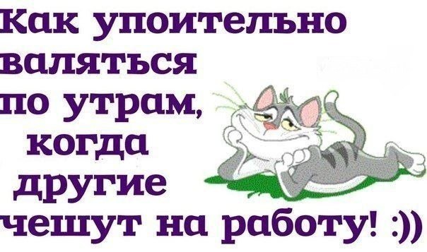 Как упоительно валяться по утрам, когда другие чешут на работу)