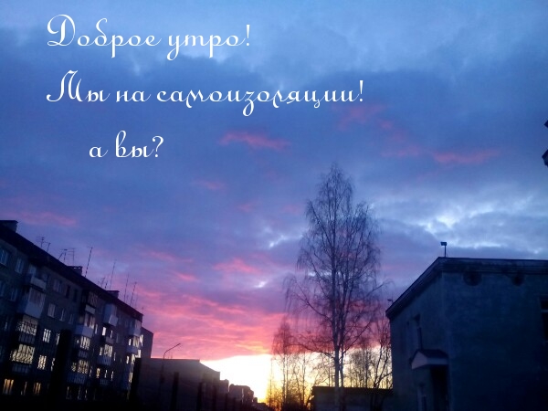 Доброе утро! Мы на самоизоляции! а вы?